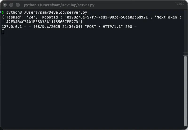Screenshot of the terminal