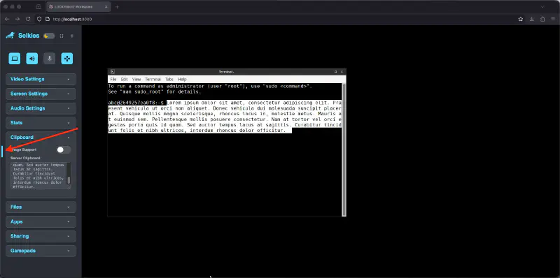 Screenshot of the clipboard