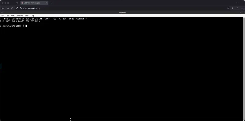 Screenshot of the terminal